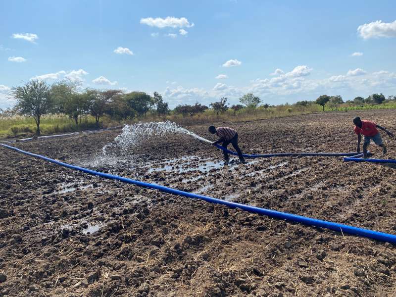 Mwaiwathu Irrigation Scheme: A Story of Resilience and Innovation in the Face of Climate Change